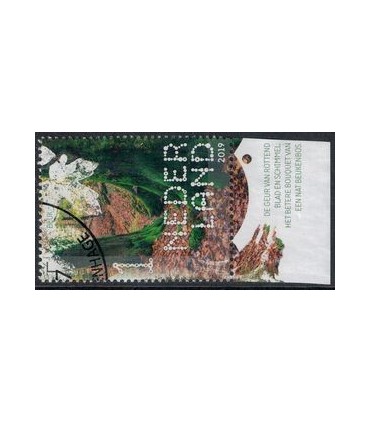 3784 Beleef de natuur Beuk (o) TAB c