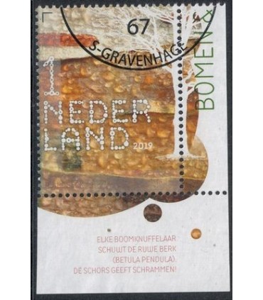 3785 Beleef de natuur Berk (o) TAB c