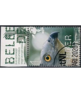 3813 Beleef de natuur roofvogels (o) TAB c