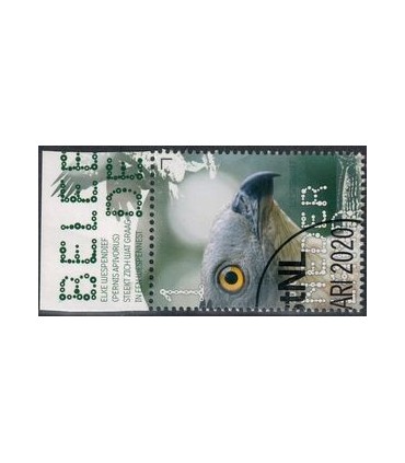 3813 Beleef de natuur roofvogels (o) TAB c