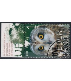 3815 Beleef de natuur Velduil (o) TAB c