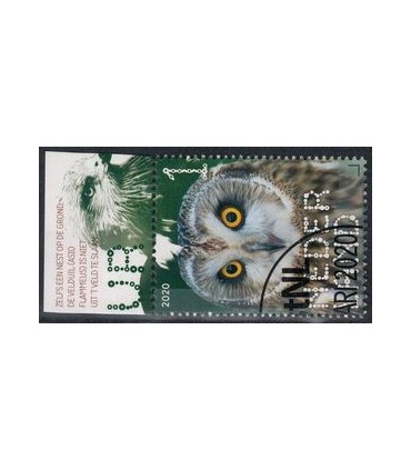 3815 Beleef de natuur Velduil (o) TAB c