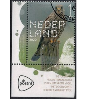 3817 Beleef de natuur visarend (o) TAB c