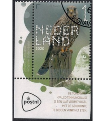 3817 Beleef de natuur visarend (o) TAB c