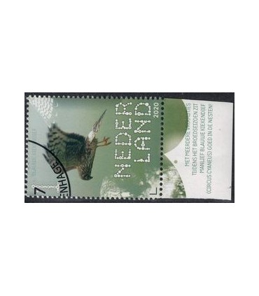 3818 Beleef de natuur Kiekendief (o) TAB c