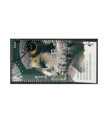 3819 Beleef de natuur Boomvalk (o) TAB c