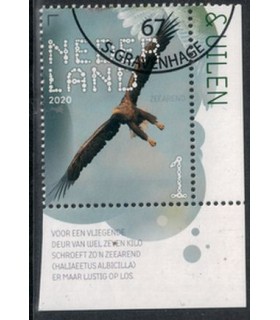 3821 Beleef de natuur Zeearend (o) TAB c