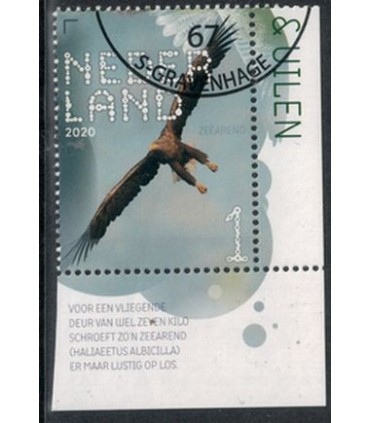 3821 Beleef de natuur Zeearend (o) TAB c