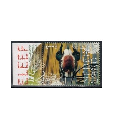 3825 Beleef de natuur slobeend (o) TAB c