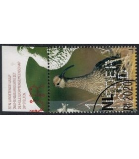 3827 Beleef de natuur Wulp (o) TAB c