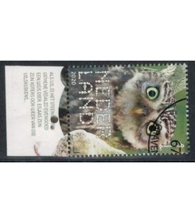 3831 Beleef de natuur Steenuil (o) TAB c