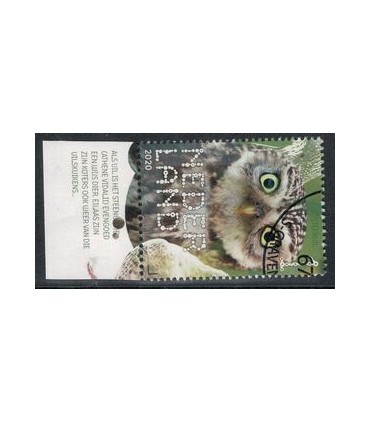 3831 Beleef de natuur Steenuil (o) TAB c