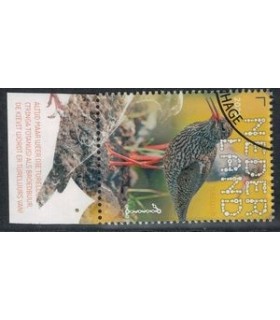 3832 Beleef de natuur Tureluur (o) TAB c