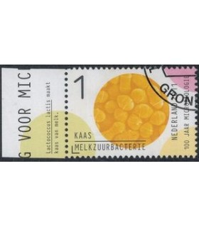 2836 Microbiologie kaas (o) TAB c