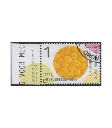 2836 Microbiologie kaas (o) TAB c