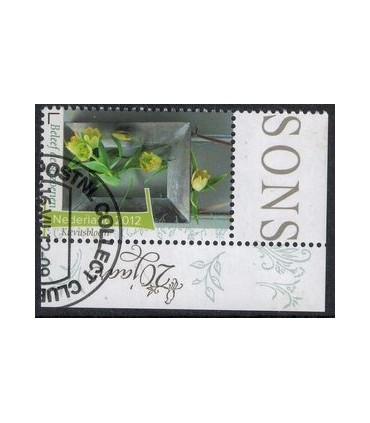 2961 Beleef de seizoenen kievietsbloem (o)  TAB