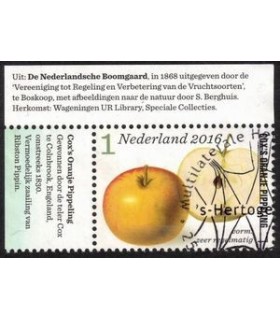 3431 Appel en perenrassen (o) TAB c