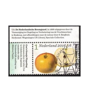 3431 Appel en perenrassen (o) TAB c