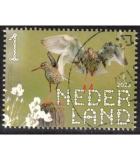 4087 Beleef de natuur Tureluur (o)