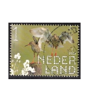 4087 Beleef de natuur Tureluur (o)