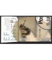 3851 Beleef de natuur Steenloper (o) TAB