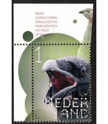 3865 Beleef de natuur raaf (o) TAB