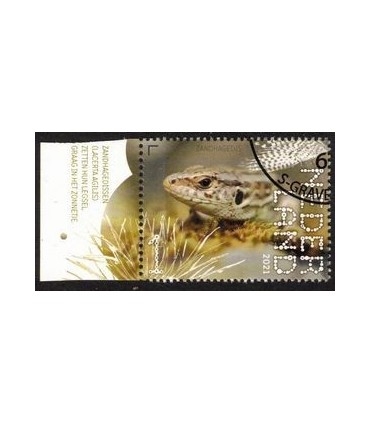 3901 Beleef de natuur Dwingerveld (o) TAB