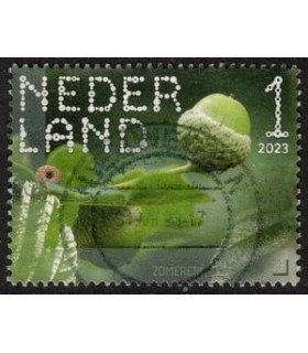 4114 Beleef de natuur Zomereik (o)