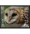4117 Beleef de natuur Kerkuil (o)