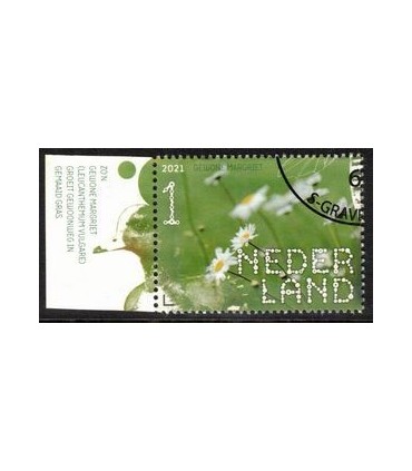 3916 Margriet (o) TAB