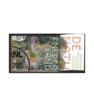 3934 Beleef de natuur Damhert (o) TAB