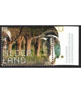 3946 Beleef de natuur Landgoed Haarzuilens (o) TAB