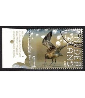 3993 Beleef de natuur Rosse Grutto (o) TAB c