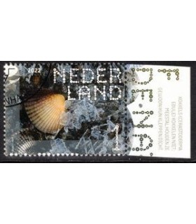 3994 Beleef de natuur Kokkel (o) TAB c