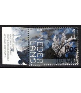 3995 Beleef de natuur Zeekraal (o) TAB c