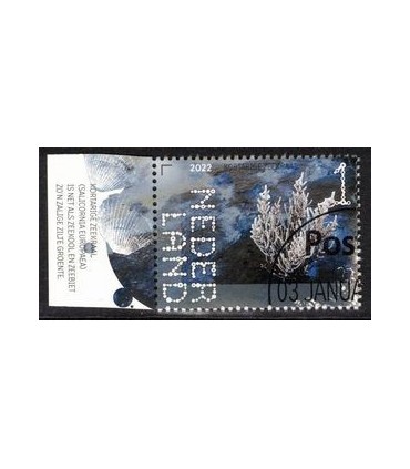 3995 Beleef de natuur Zeekraal (o) TAB c