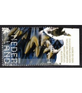 3998 Beleef de natuur Zee-eik (o) TAB c