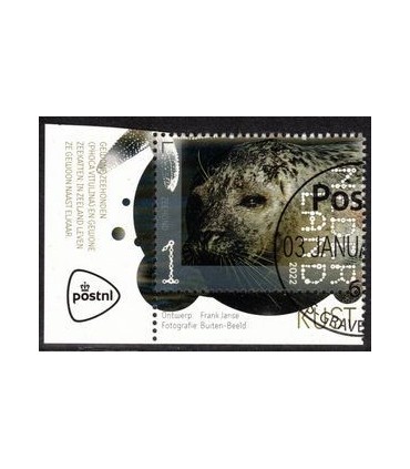 3999 Beleef de natuur Zeehond (o) TAB c