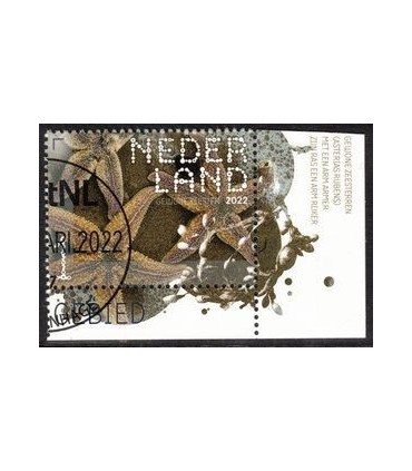 4000 Beleef de natuur Zeester (o) TAB