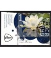 4010 Beleef de natuur Waterlelie (o) TAB