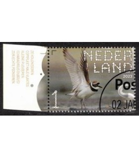 4079 Beleef de natuur Kleine Plevier (o) TAB