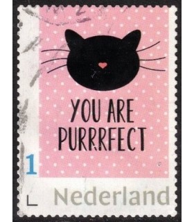You Are perfect (o)
