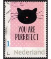 You Are perfect (o)