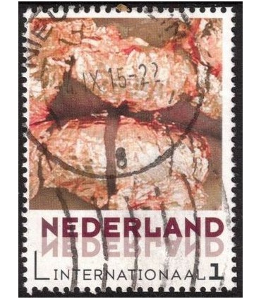 Internationaal  geen idee (o)