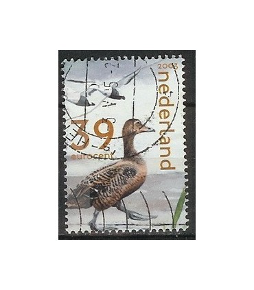 2170c Waddenzegel (o)
