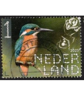 4138 Beleef de natuur Ijsvogel (o)