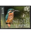 4138 Beleef de natuur Ijsvogel (o)