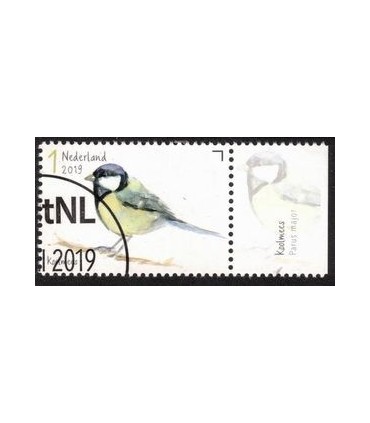 3748 Tuinvogels koolmees (o) TAB c