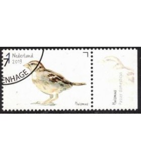 3746 Tuinvogels huismus (o) TAB c