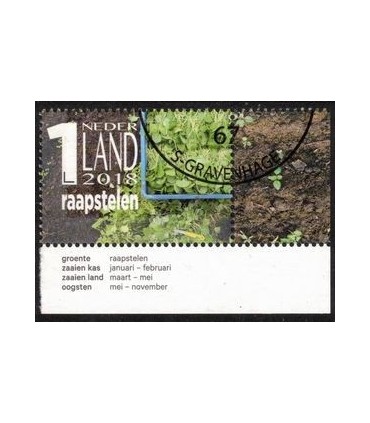 3696f Mijn groentetuin (o) TAB c